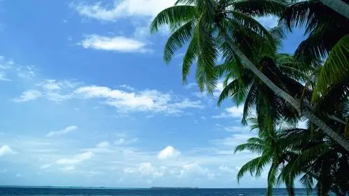 求一张xp蓝天白云的经典桌面1366*768的