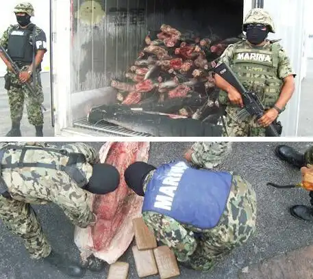 墨西哥毒枭爱用食物藏毒 冷冻鲨鱼也不放过