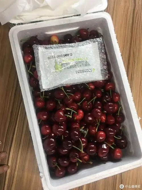 评测栏 篇三:山东美早樱桃3斤装购买体验