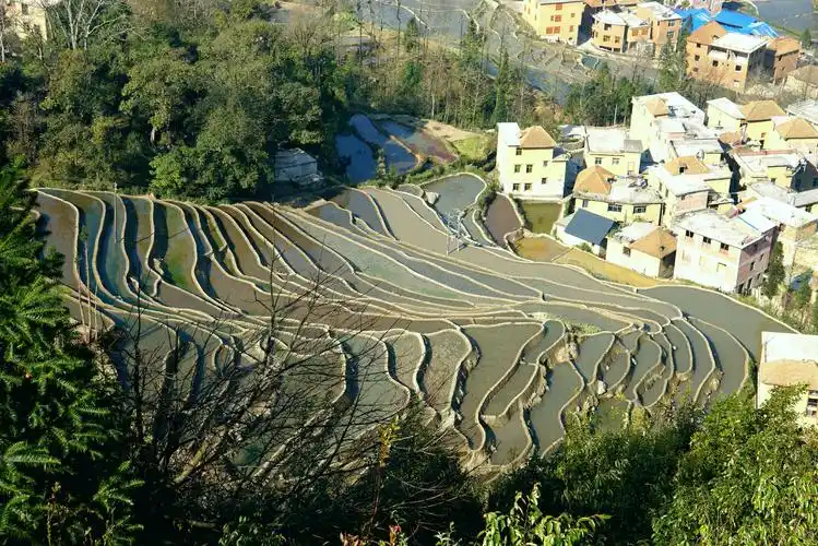 云南元阳梯田 哈尼村景色