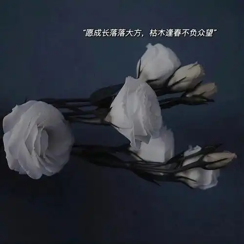 文字系列背景图