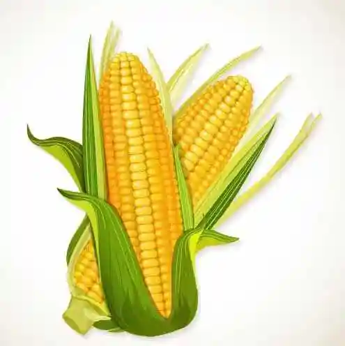 玉米面的微信头像