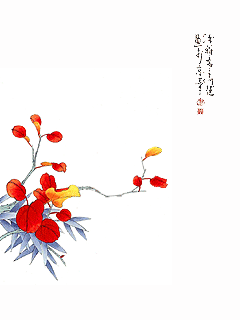 240_320竖版 竖屏gif 动态图 动图