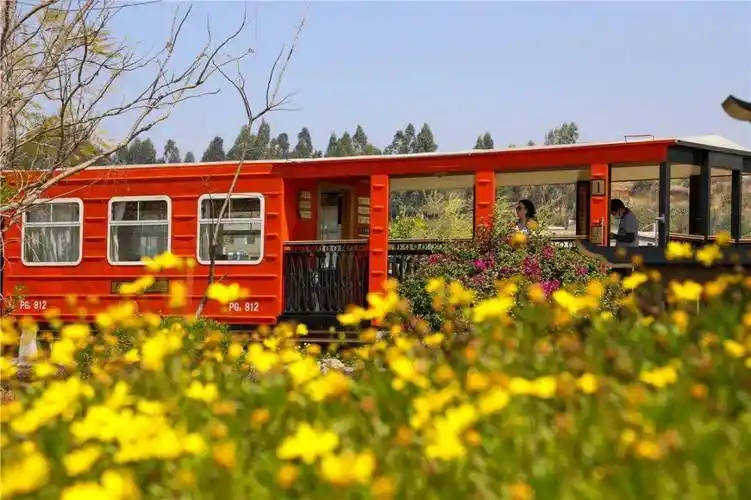 每天往返4趟与其他两种小火车的观光模式不同开远南北轨道交通列车