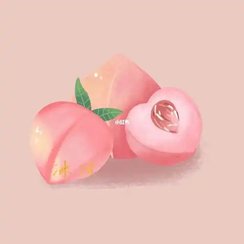 插画水果–水蜜桃