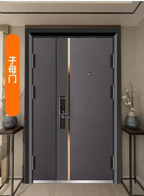 甲级智能防盗门进户门家用入户门标准门子母门锌合金门子母门205118