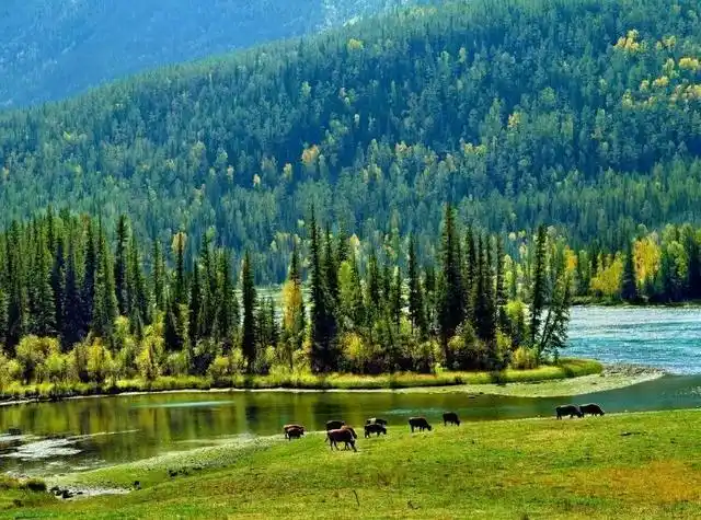 新疆最美的地方有北疆喀纳斯湖白哈巴景区赛里木湖