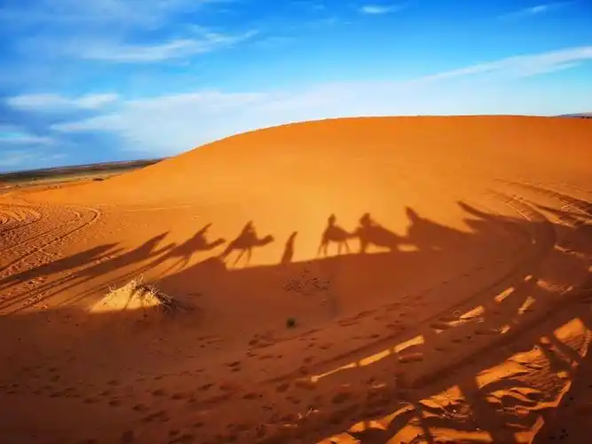 摩洛哥舍夫沙万,撒哈拉沙漠:蓝调与黄沙的极致碰撞