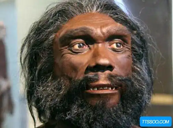 欧洲直立人:海德堡人(脑容量高于现代人)