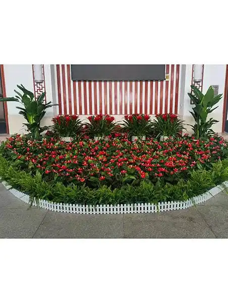 杰浩花卉苗木产品展示