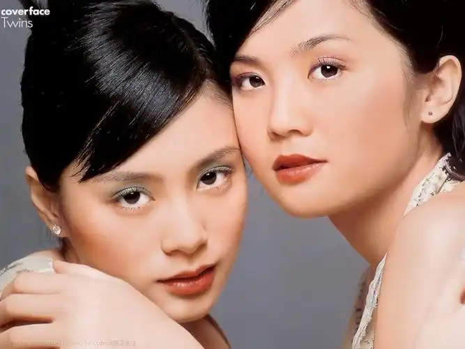 twins壁纸桌面图片-1024x768.121k.高清大图-明星写真馆n63.com