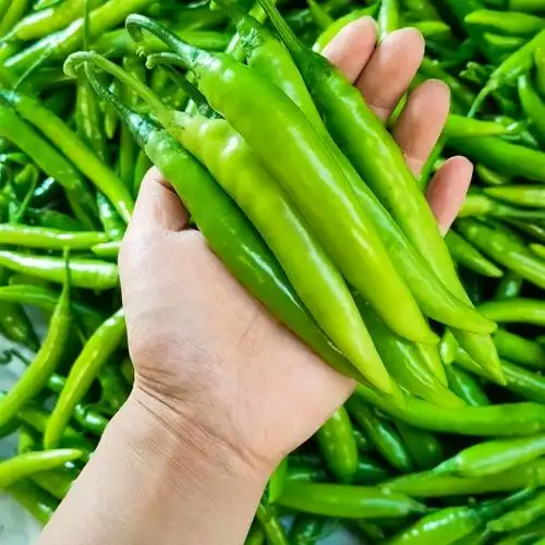 杭椒新鲜薄皮青椒特辣超辣小米辣新鲜老品种杭椒蔬菜3斤手工精选微辣