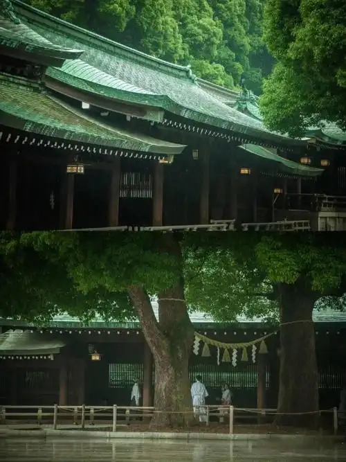 唐人街探案3取景地竟然是这座浪漫的樱花之都