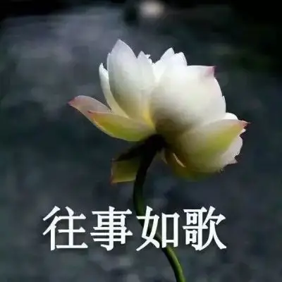 老了～老了～_微信头像_我要个性网