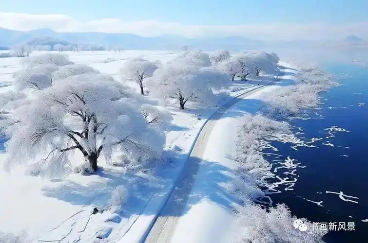 雪冬天的第一场盛宴