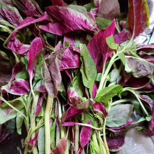 上汤红苋菜,味道清淡鲜美,营养丰富