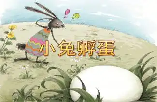 中班故事小兔孵蛋ppt课件教案