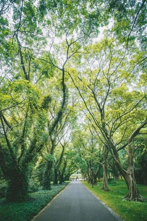 中国哪里最凉快看完这些清凉图我就不热了