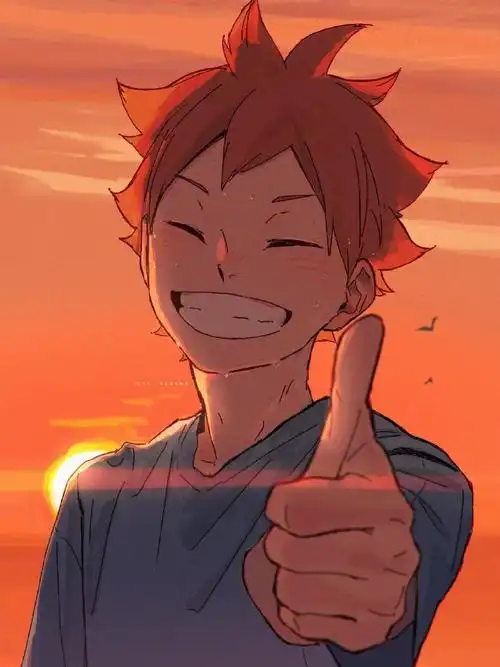 排球少年##日向翔阳##授权转载