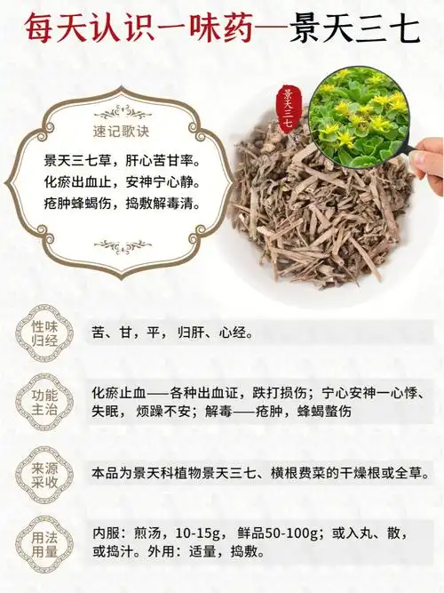 费案,马三七,白三七,胡椒七,晒不干,养心草回生草,九头三七94功效