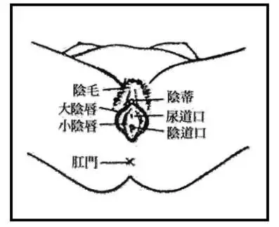 首页 科室导航 专科部 康复医学科 健康教育  先将导尿管前端涂上润滑