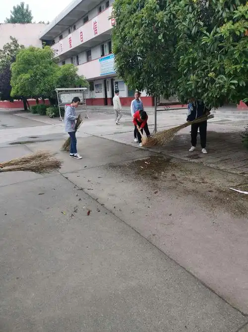 大擦洗 大清扫 活动纪实 写美篇 为相应区爱卫办提倡的的大扫除大擦洗