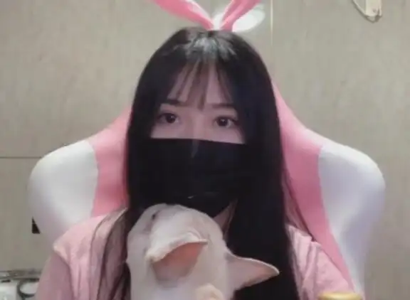 一条小团团露脸 一条小团团真名叫什么怎么火的