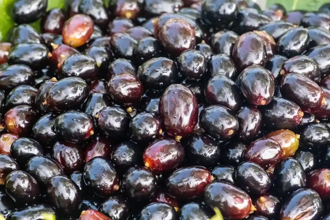 梅实 黑梅 熏梅 桔梅肉 乌梅 水果 食 梅实 黑梅 熏梅  - 抖音