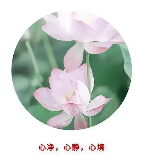 心净,心静,心境