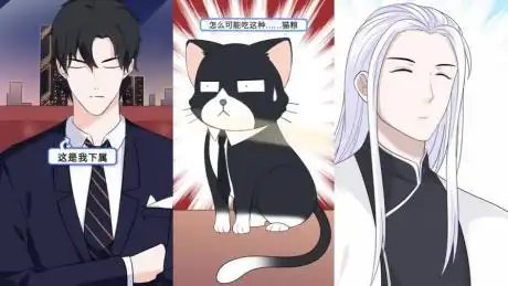 猫总白一航:小哥哥这次是真的认命了-动漫视频-搜狐视频