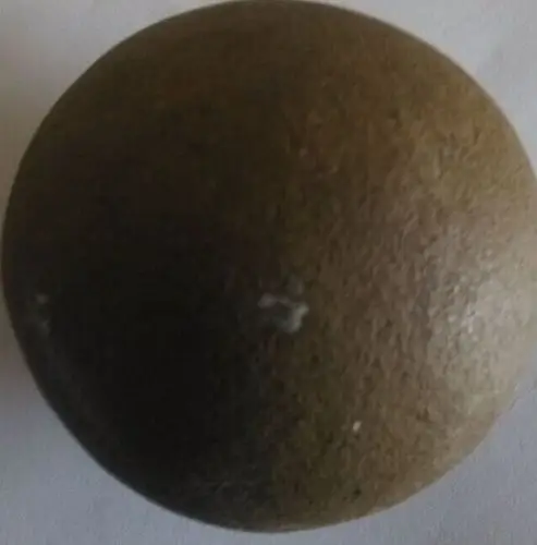 羊胃里发现一个球状物体,请问有没有医药价值和经济