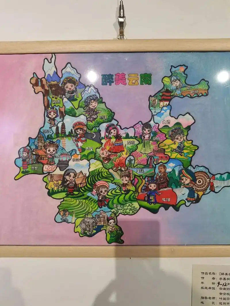 云南少儿手绘地图获奖作品 - 抖音