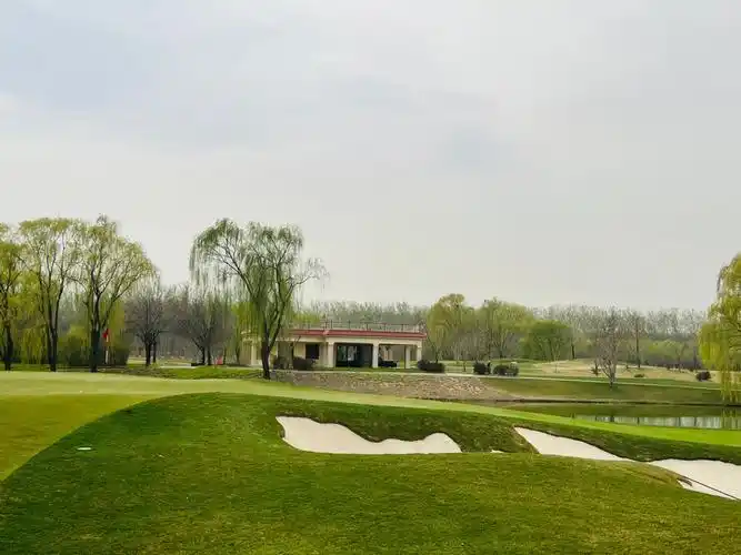 又是晕头转向的一天,自己都不知道自己在干啥……#爱生活爱高尔夫球