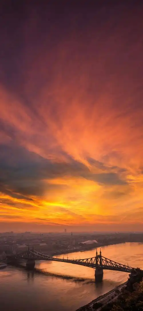 690_1494竖版 竖屏