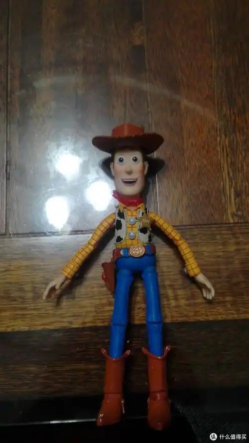 编号001海洋堂特撮010猥琐胡迪晒单