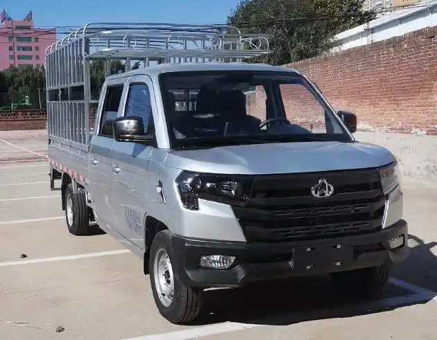 长安星卡 长安星卡双排小货车插图1