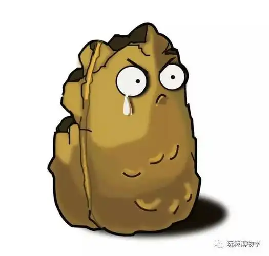 坚果墙:"我拥有足以保护其他植物的坚硬外壳,我可以为我的兄弟姐妹们