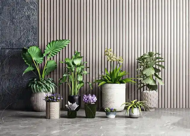 【名师联】现代绿植盆栽4172729