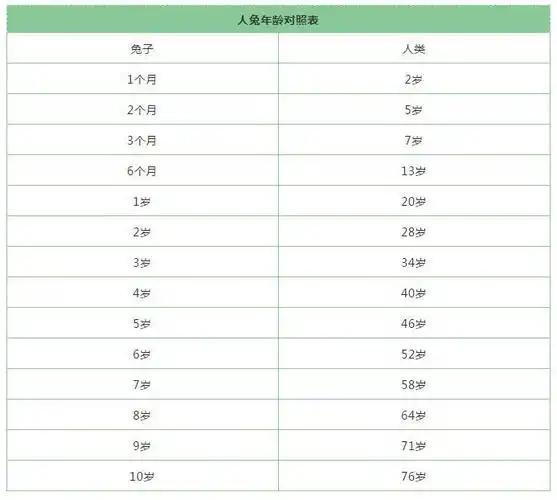 兔子与人的年龄换算表终于知道兔兔多大了