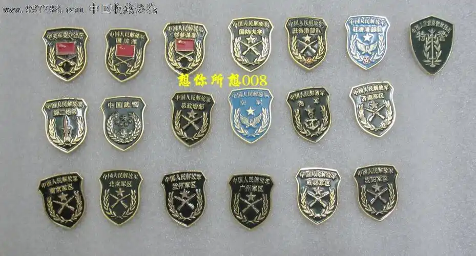 军种臂章徽章(共19枚,特别稀少)
