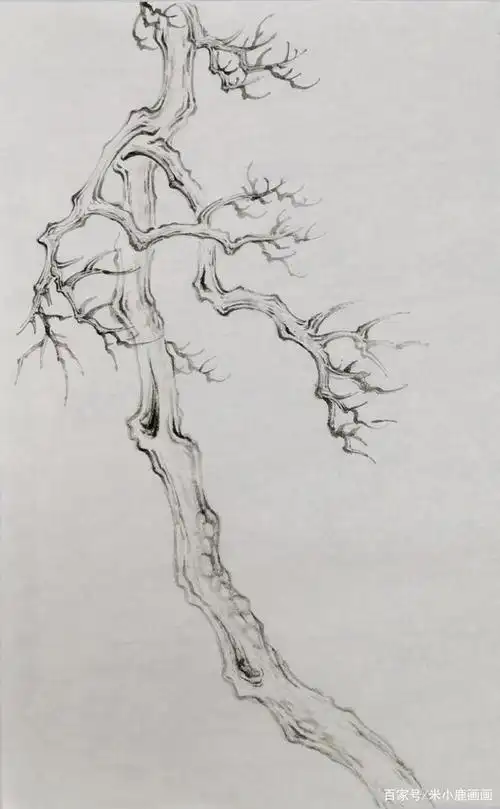 国画山水,花鸟中马尾松的画法,松针口诀