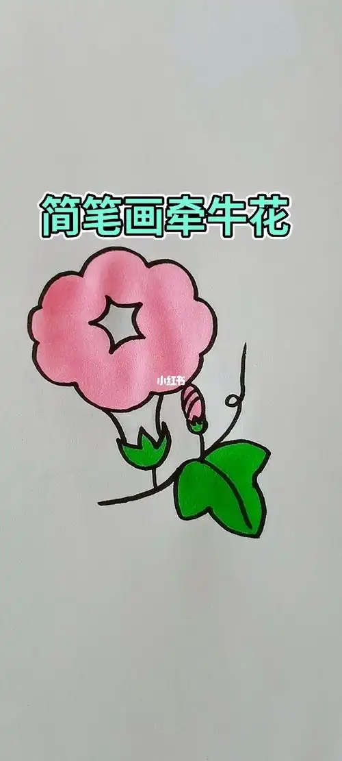 简笔画牵牛花