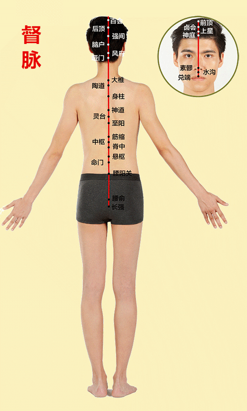 痛则不通!最全经络图送给你,哪里痛治哪里