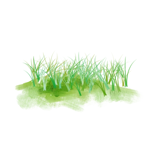 手绘绿色草地图片大全