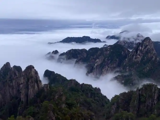 雨后黄山春日云海流淌似水墨仙境