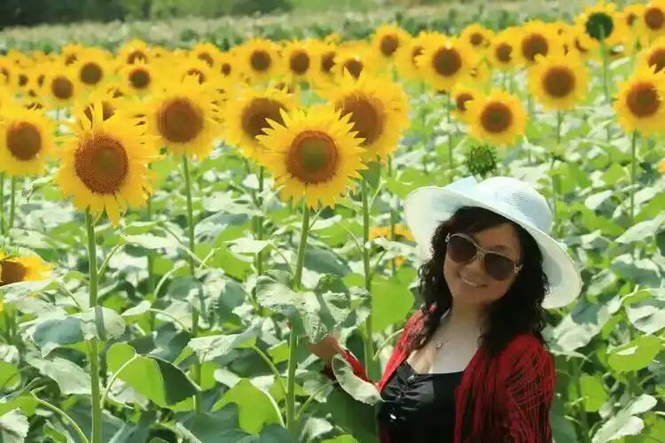 重庆涪陵大木花谷(13年)