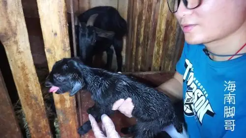 天字一号房和二号房不但不是隔壁还离得有点远