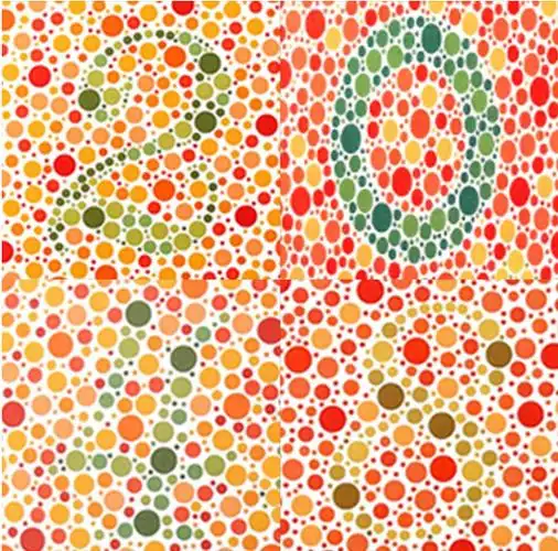 第五张图:这张色盲图是以4个数字组成的,而且每个框格内的数字都采用