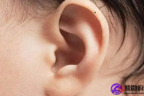 左耳耳廓有痣的女人意味着什么