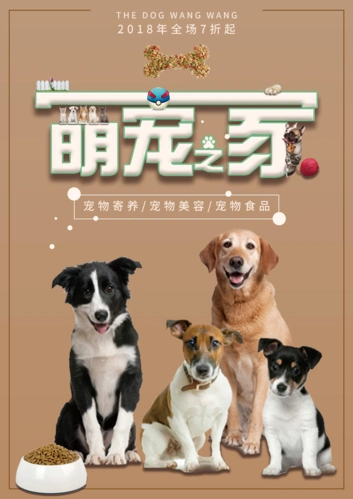 宠物店萌宠|平面|海报|原来我是123 - 原创作品 - 站酷 (zcool)